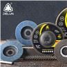 Type 29 Flap Disc